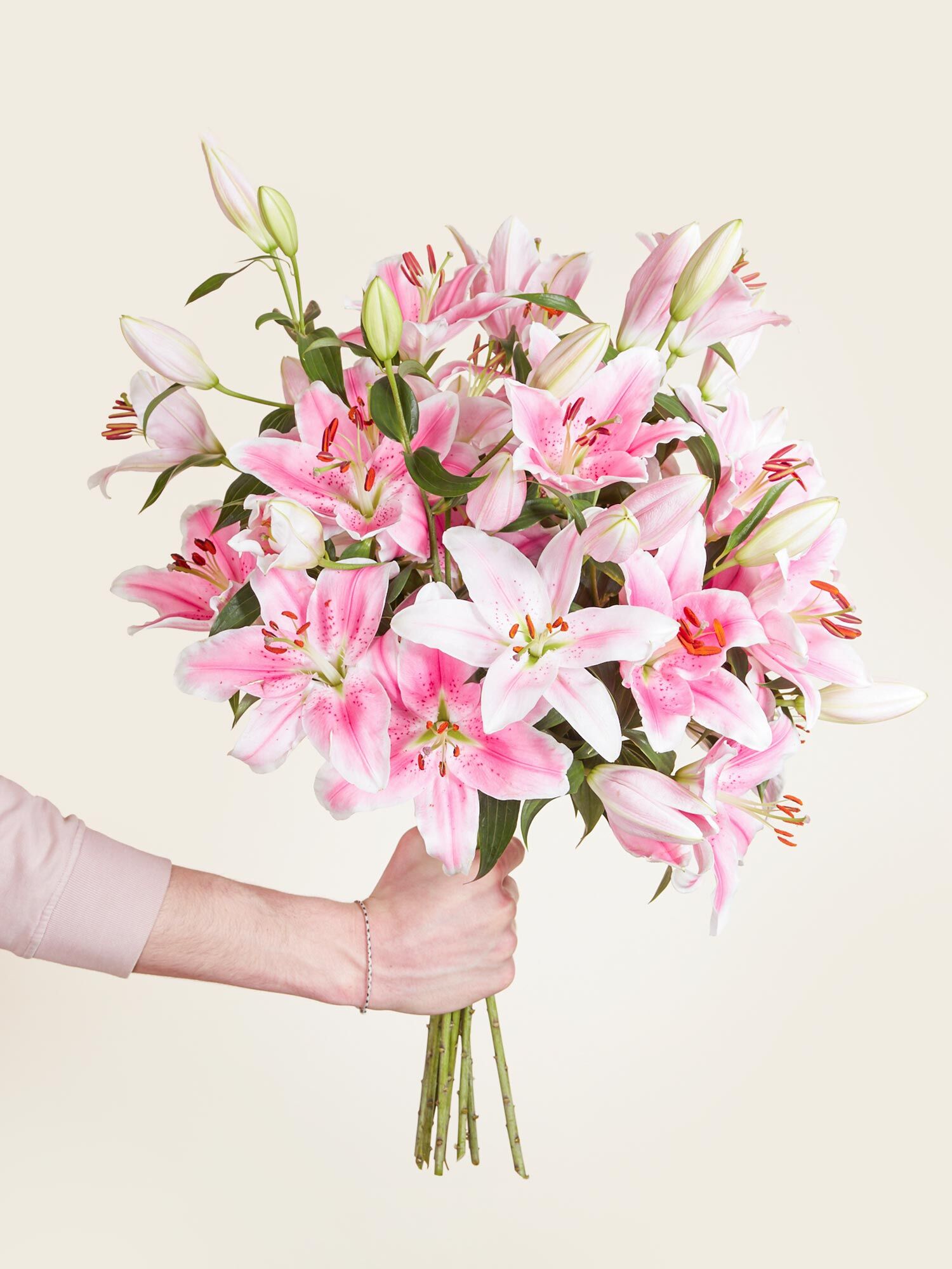 Mehrere vollaufgeblühte, pinke Lilien, die von einer Hand vor eine neutrale Wand gehalten werden